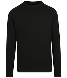 Raglan sweat crew neck